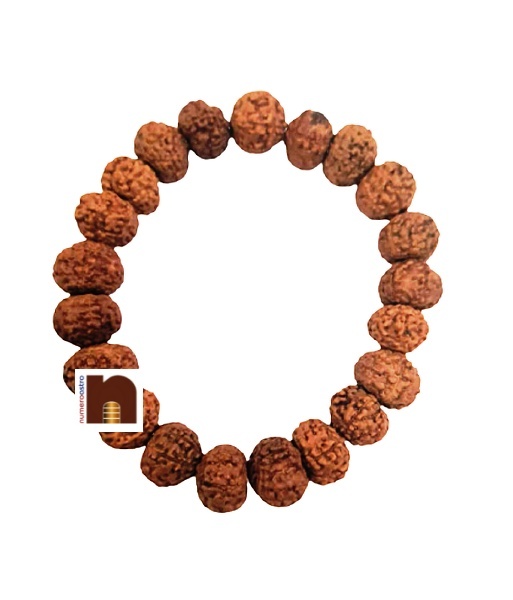 10_mukhi_rudraksha_bracelet-1.jpg