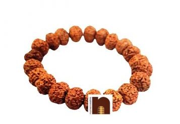 Natural & Original 11 Mukhi Indonesian Rudraksha Bracelet (Stretchable) (1 Pc)