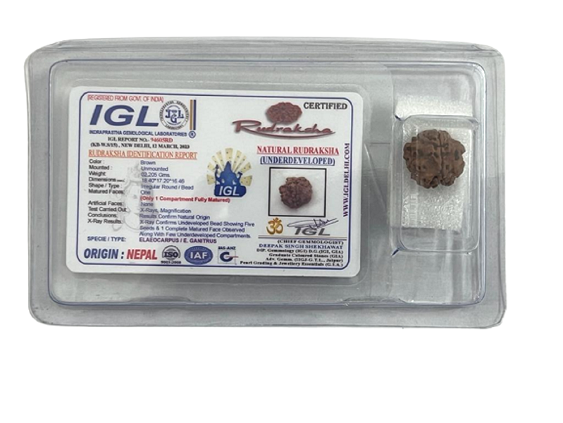 1_mukhi_Round_Bead_1