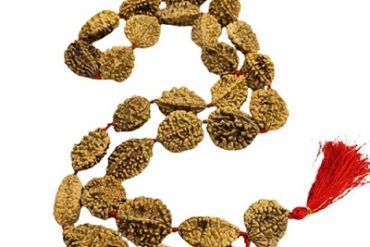 2 Mukhi Rudraksha Beads Kantha Mala (Big Beads) (27+1) 28 Beads (1 Pc)