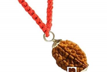 2 Mukhi Rudraksha | Two Faced Rudraksha Pendant With Lab Certificate (1Pc)