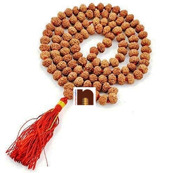 10-mukhi-rudraksha-mala-2-1.jpg