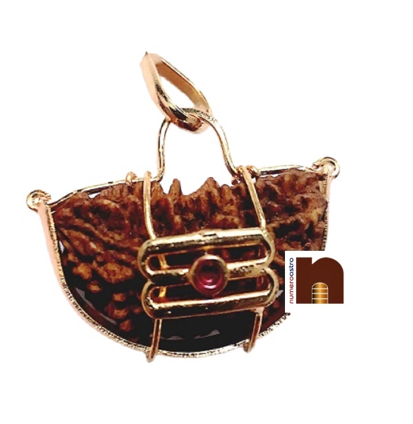 1_mukhi_trinetra_rudraksha_1.jpg rudraksha, rudraksha mala, rudraksha tree, rudraksh, ek mukhi rudraksha, rudraksha ek mukhi, rudraksh tree, original rudraksha, rudraksha original, 1 mukhi rudraksha, ek mukhi rudraksh, rudraksha 1 mukhi, panch mukhi rudraksha, panchmukhi rudraksha, rudraksha benefits, 5 mukhi rudraksha benefits, benefits of rudraksha, rudraksh ki mala, rudraksha mala original, rudraksha plant, 5 mukhi rudraksha, benefits of 5 mukhi rudraksha, rudraksha 5 mukhi, price of rudraksha, rudraksha price, rudraksham, rudraksha chains