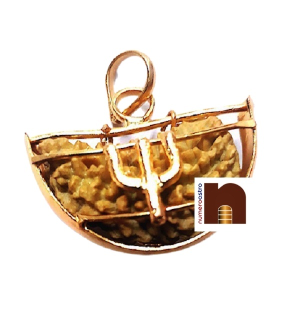 1_mukhi_trishul_rudraksha_pendant_2.jpg