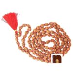 3 Mukhi | Three Faced Rudraksha Mala (Indonesian Java Beads) with Lab Certificate (1 Pc)