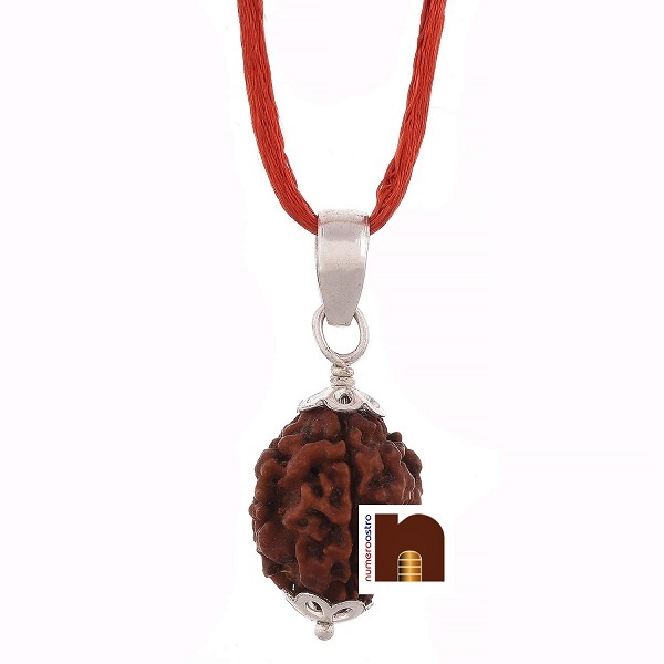 3-mukhi-rudraksha-pendant-3.jpg