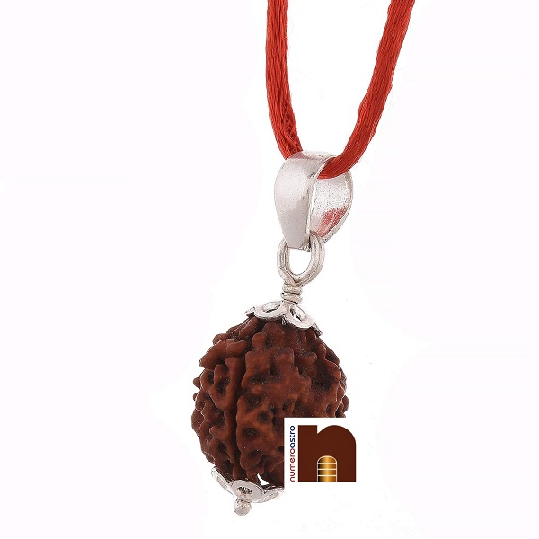 3-mukhi-rudraksha-pendant-4.jpg