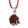 3 Mukhi Rudraksha | Three Faced Rudraksha Pendant With Lab Certificate (White Metal Pendant) (1 Pc)
