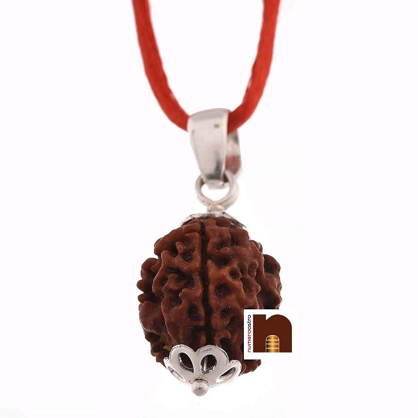 3-mukhi-rudraksha-pendant-5.jpg