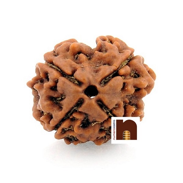 4-mukhi-ganesh-rudraksha.jpg