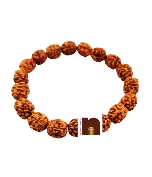 4_mukhi_rudraksha_bracelet_2.jpg