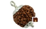 5 Mukhi Rudraksha | Five Faced Rudraksha Pendant With Lab Certificate (White Metal Pendant) (1 Pc)