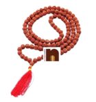 6 Mukhi | Six Faced Rudraksha Mala (Indonesian Java Beads) with Lab Certificate (1 Pc)