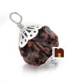 7 Mukhi Rudraksha | Seven Faced Rudraksha Pendant With Lab Certificate (1 Pc)