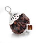 7 Mukhi Rudraksha | Seven Faced Rudraksha Pendant With Lab Certificate (1 Pc)