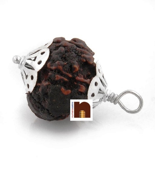 7-mukhi-rudraksha-pendant-in-silver-3.jpg