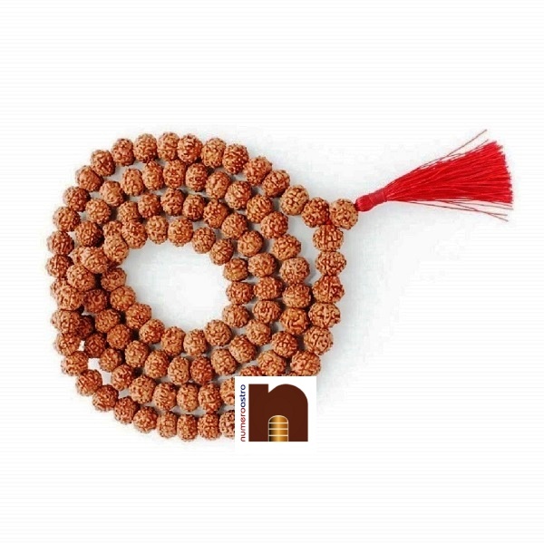 8-mukhi-rudraksha-mala-3.jpg