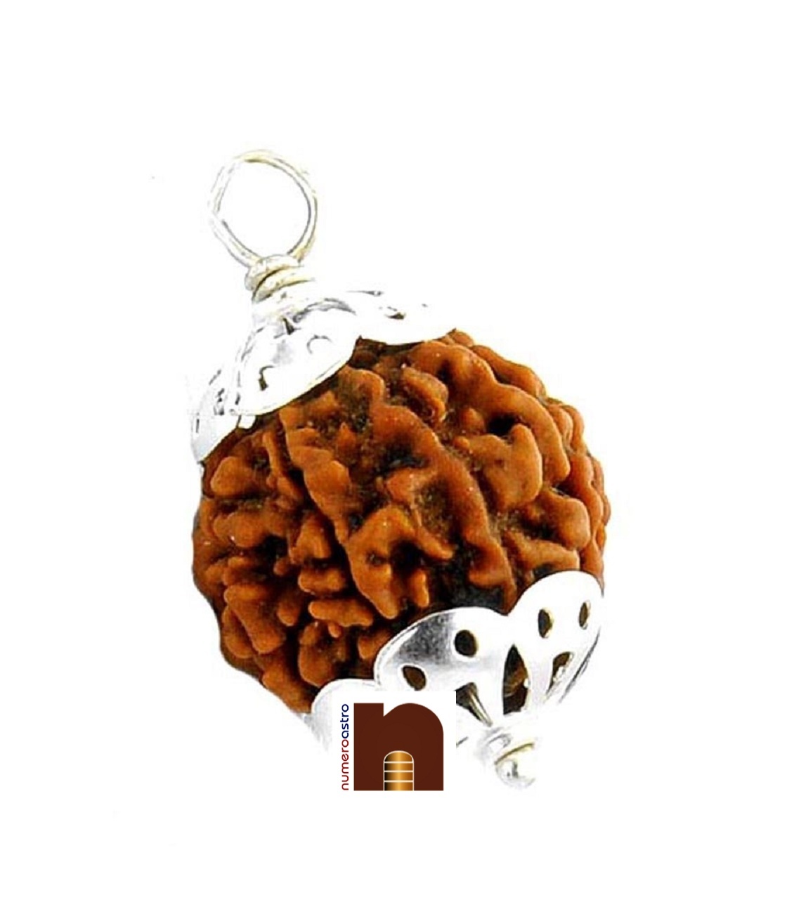 8-mukhi-rudraksha-pendant-in-silver-1.jpg