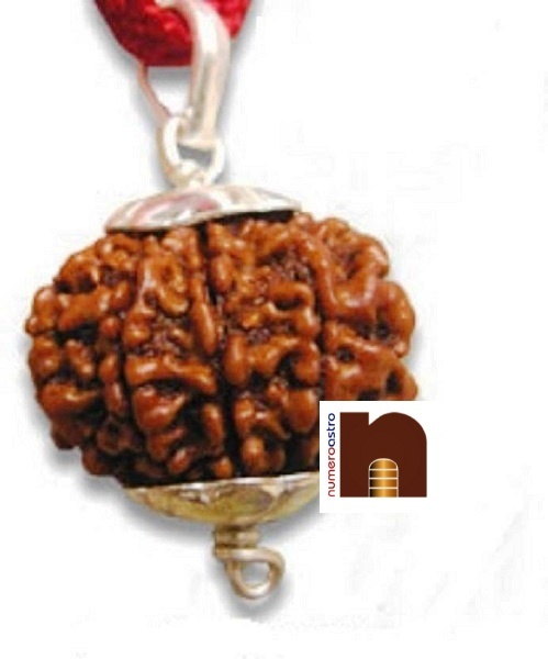 9-mukhi-rudraksha-pendant-1-1.jpeg
