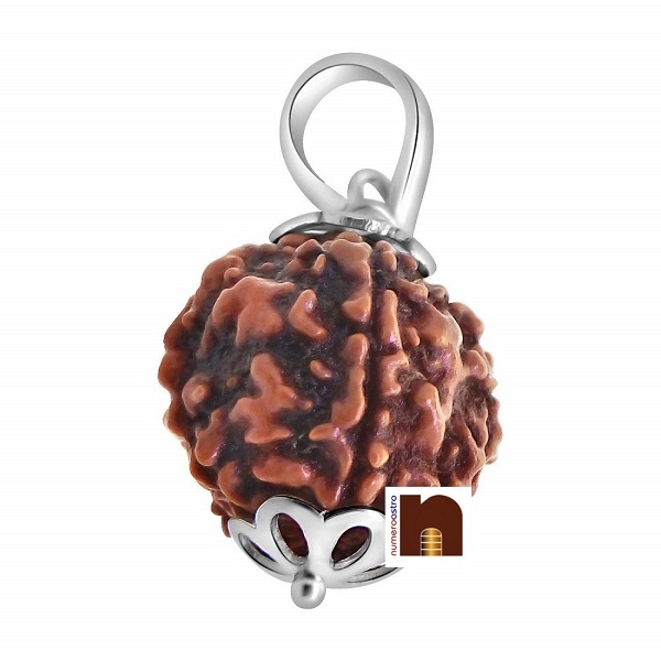 9-mukhi-rudraksha-pendant-in-silver-2.jpg