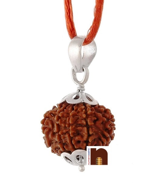 9-mukhi-rudraksha-pendant-in-silver-4.jpg