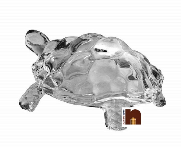 CRYSTAL-TURTLE-5.jpg
