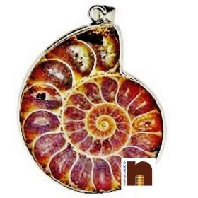 Ammonite Stone Pendant for Men and Women (1 Pc)