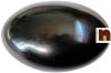 Shaligram Shivling (Big) - (8.5 cm Approx) (1 Pc)