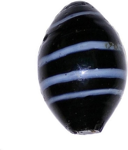 black-white-shaligram-shivling-in-glass-1.jpeg