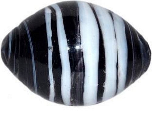 black-white-shaligram-shivling-in-glass-2.jpeg