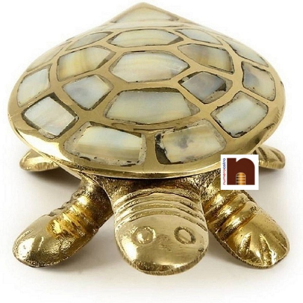 brass-seep-tortoise-1-1.jpeg