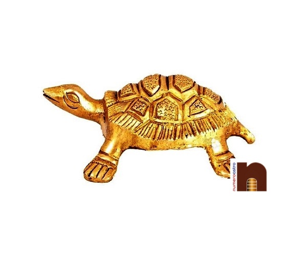 brass-tortoise-9-cms-4-1.jpg