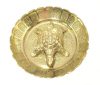 Fengshui | Vastu Brass Turtle | Tortoise In Brass Plate (9 Cms) (Big)