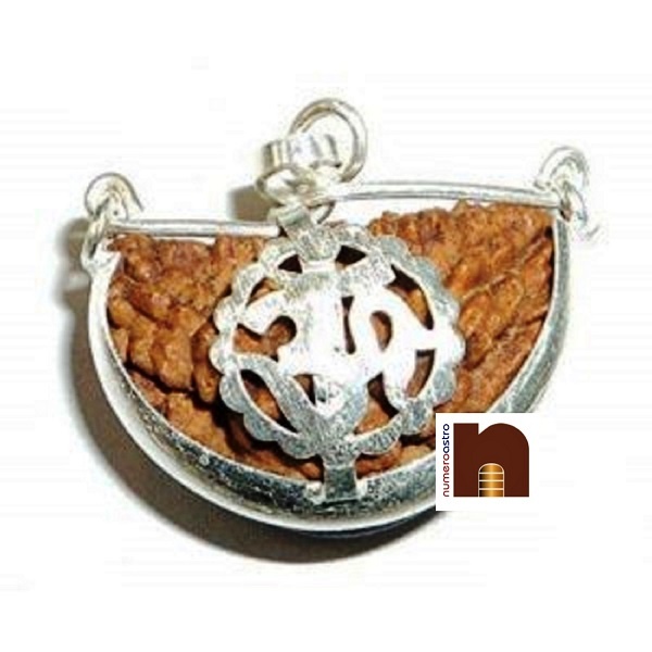 certified-1-mukhi-om-rudraksha-pendant-1.jpg