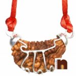 rudraksha, rudraksha mala, rudraksha tree, rudraksh, ek mukhi rudraksha, rudraksha ek mukhi, rudraksh tree, original rudraksha, rudraksha original, 1 mukhi rudraksha, ek mukhi rudraksh, rudraksha 1 mukhi, panch mukhi rudraksha, panchmukhi rudraksha, rudraksha benefits, 5 mukhi rudraksha benefits, benefits of rudraksha, rudraksh ki mala, rudraksha mala original, rudraksha plant, 5 mukhi rudraksha, benefits of 5 mukhi rudraksha, rudraksha 5 mukhi, price of rudraksha, rudraksha price, rudraksham, rudraksha chains
