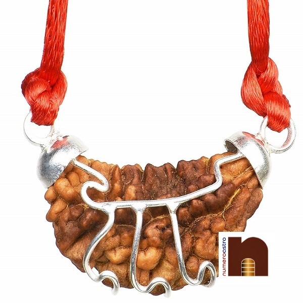 certified-1-mukhi-rudraksha-pendant-2-2.jpg