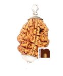 2 Mukhi Rudraksha | Two Faced Rudraksha Pendant With Lab Certificate (White Metal Pendant) (1 Pc)