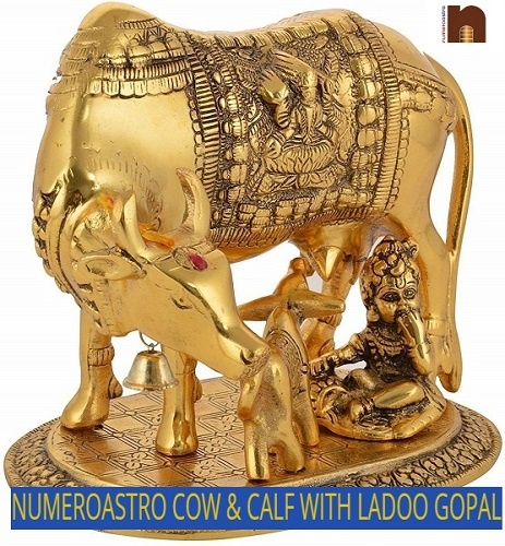 cow-calf-with-krishna-2-1.jpg