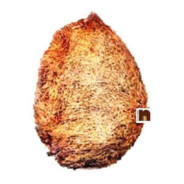 ekanshi-nariyal-600x600-WM.jpg