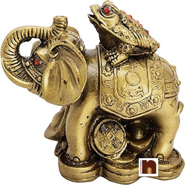 feng-shui-frog-on-elephant-1-1.jpg