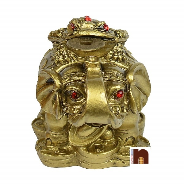 feng-shui-frog-on-elephant-4-1.jpg