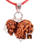 Gauri Shankar Rudraksha Pendant with Lab Certificate (Nepali Bead) (1 Pc)