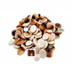 Natural & Original Gomti Chakra (Small) (21 Pcs Set)