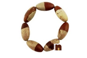 Narmadeshwar Shivling Bracelet ( Stretchable) (1 Pc)