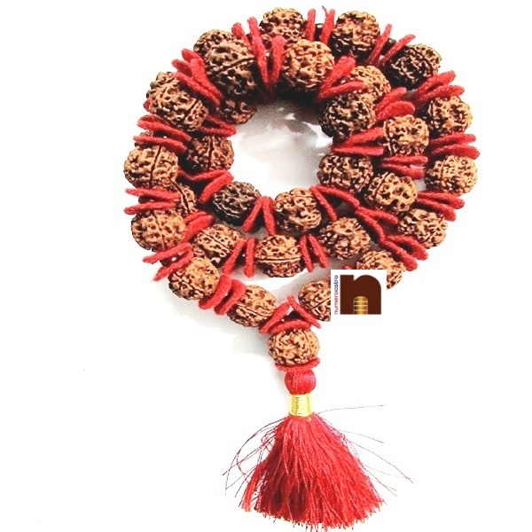 rudraksha-kantha-mala-33-beads-2-1.jpg