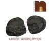 Shri Laxmi Narayan Shaligram Stone | Shila (AAA Quality) from Gandaki River Nepal (1 Set)