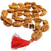 rudraksha, rudraksha mala, rudraksha tree, rudraksh, ek mukhi rudraksha, rudraksha ek mukhi, rudraksh tree, original rudraksha, rudraksha original, 1 mukhi rudraksha, ek mukhi rudraksh, rudraksha 1 mukhi, panch mukhi rudraksha, panchmukhi rudraksha, rudraksha benefits, 5 mukhi rudraksha benefits, benefits of rudraksha, rudraksh ki mala, rudraksha mala original, rudraksha plant, 5 mukhi rudraksha, benefits of 5 mukhi rudraksha, rudraksha 5 mukhi, price of rudraksha, rudraksha price, rudraksham, rudraksha chains