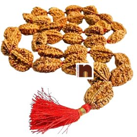 rudraksha, rudraksha mala, rudraksha tree, rudraksh, ek mukhi rudraksha, rudraksha ek mukhi, rudraksh tree, original rudraksha, rudraksha original, 1 mukhi rudraksha, ek mukhi rudraksh, rudraksha 1 mukhi, panch mukhi rudraksha, panchmukhi rudraksha, rudraksha benefits, 5 mukhi rudraksha benefits, benefits of rudraksha, rudraksh ki mala, rudraksha mala original, rudraksha plant, 5 mukhi rudraksha, benefits of 5 mukhi rudraksha, rudraksha 5 mukhi, price of rudraksha, rudraksha price, rudraksham, rudraksha chains
