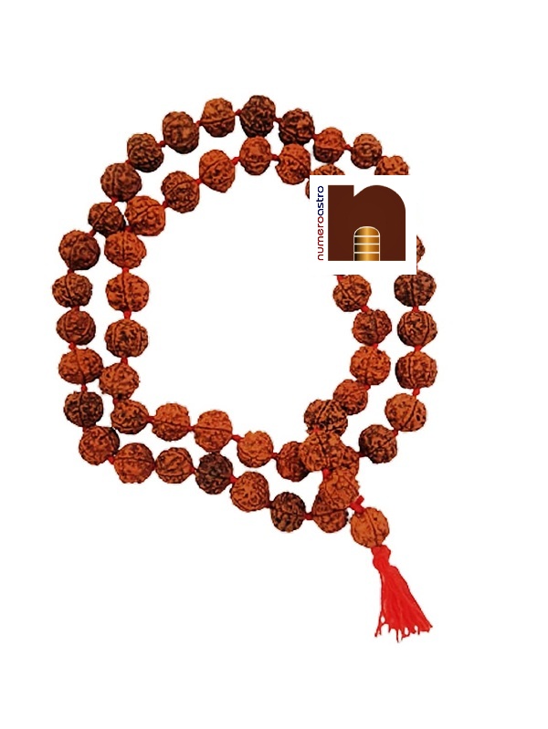5 Mukhi Rudraksha Kantha Mala (3WM)(55 Beads) (18MM)