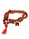 rudraksha, rudraksha mala, rudraksha tree, rudraksh, ek mukhi rudraksha, rudraksha ek mukhi, rudraksh tree, original rudraksha, rudraksha original, 1 mukhi rudraksha, ek mukhi rudraksh, rudraksha 1 mukhi, panch mukhi rudraksha, panchmukhi rudraksha, rudraksha benefits, 5 mukhi rudraksha benefits, benefits of rudraksha, rudraksh ki mala, rudraksha mala original, rudraksha plant, 5 mukhi rudraksha, benefits of 5 mukhi rudraksha, rudraksha 5 mukhi, price of rudraksha, rudraksha price, rudraksham, rudraksha chains